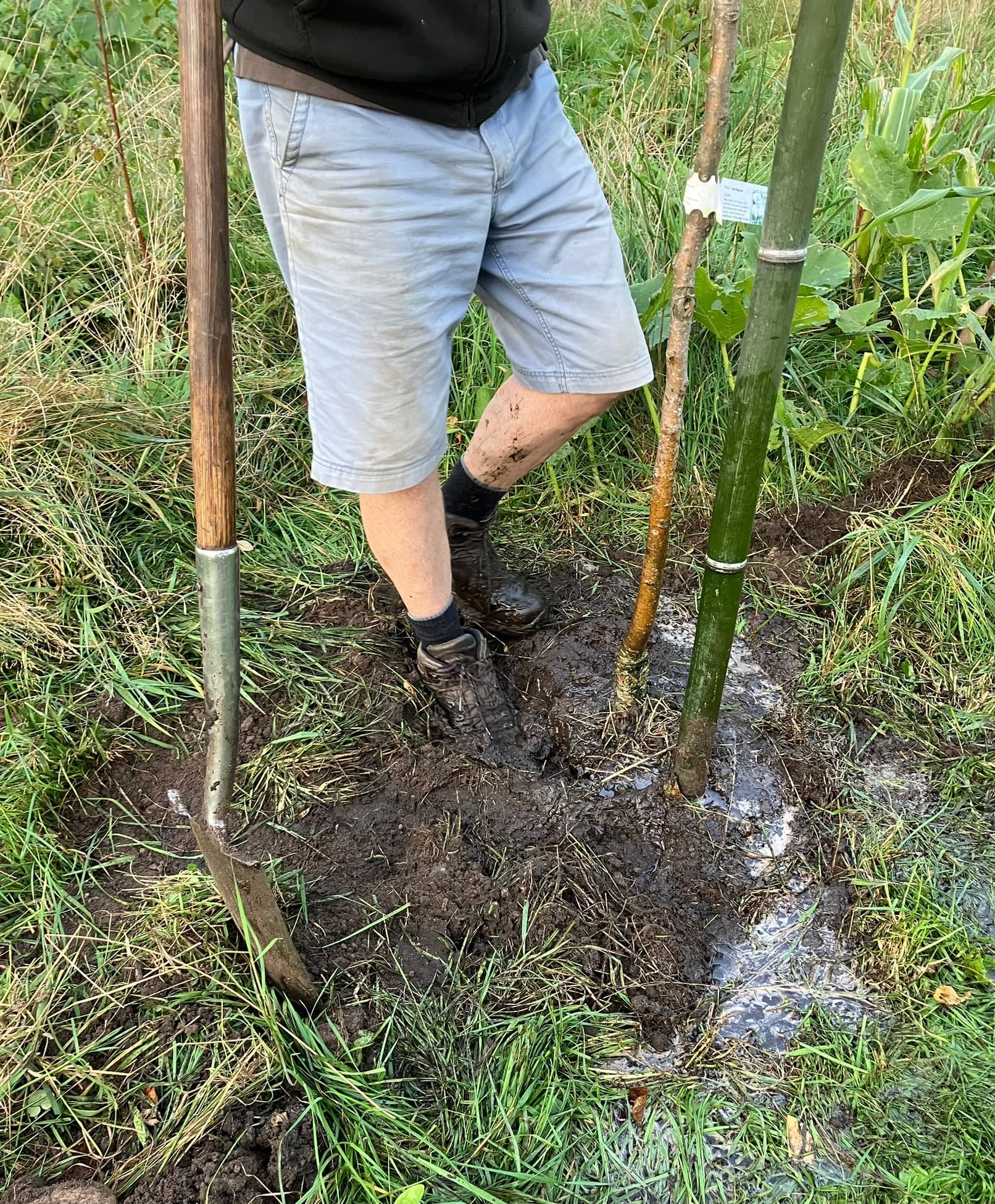 Foto bij Bos: IMG 7239