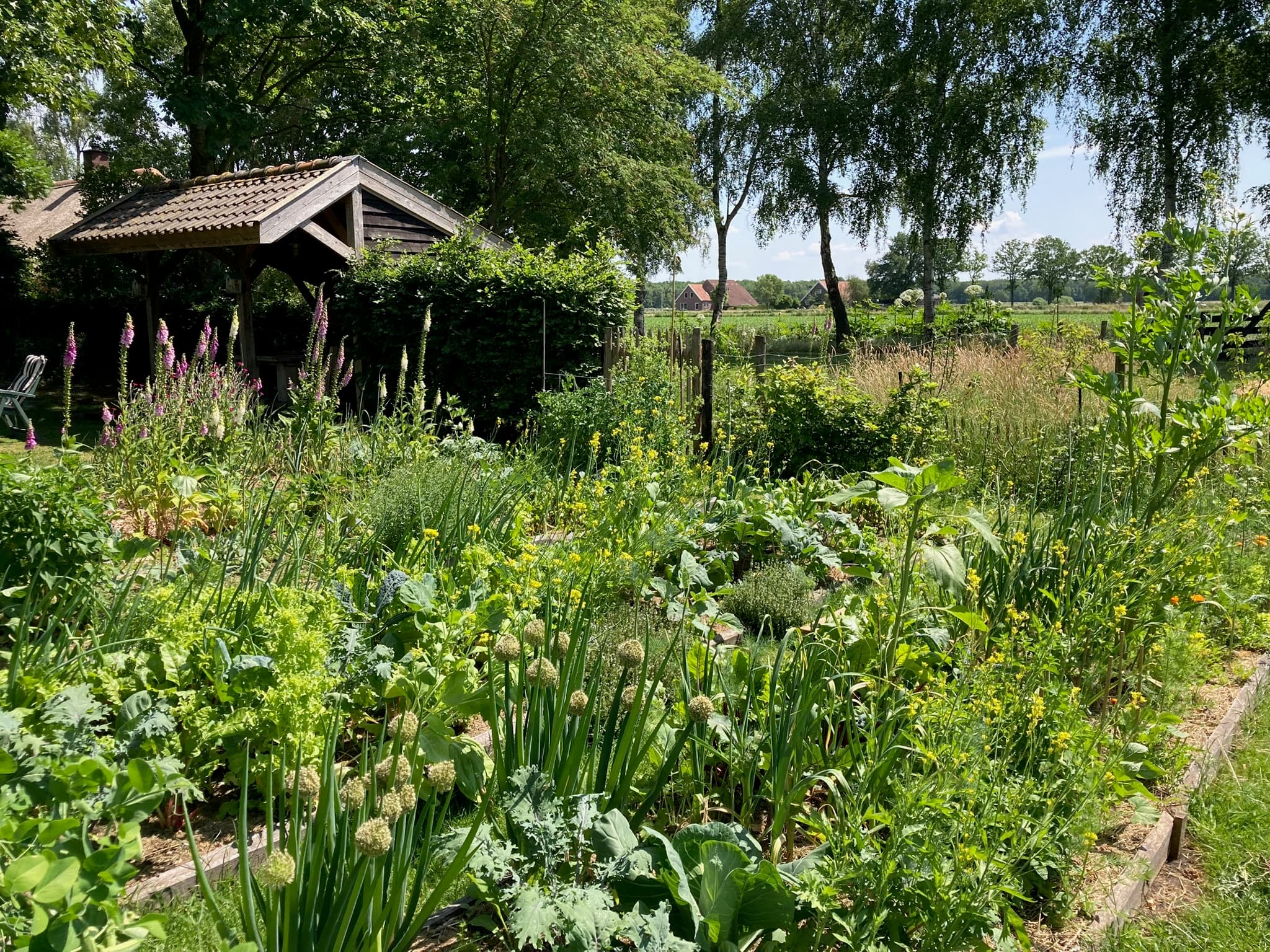 Foto bij Moes: IMG 0860